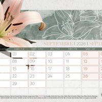 SEFAM-septembre-CY04-26.indd