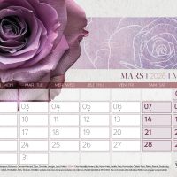 SEFAM-mars-CY04-26.indd